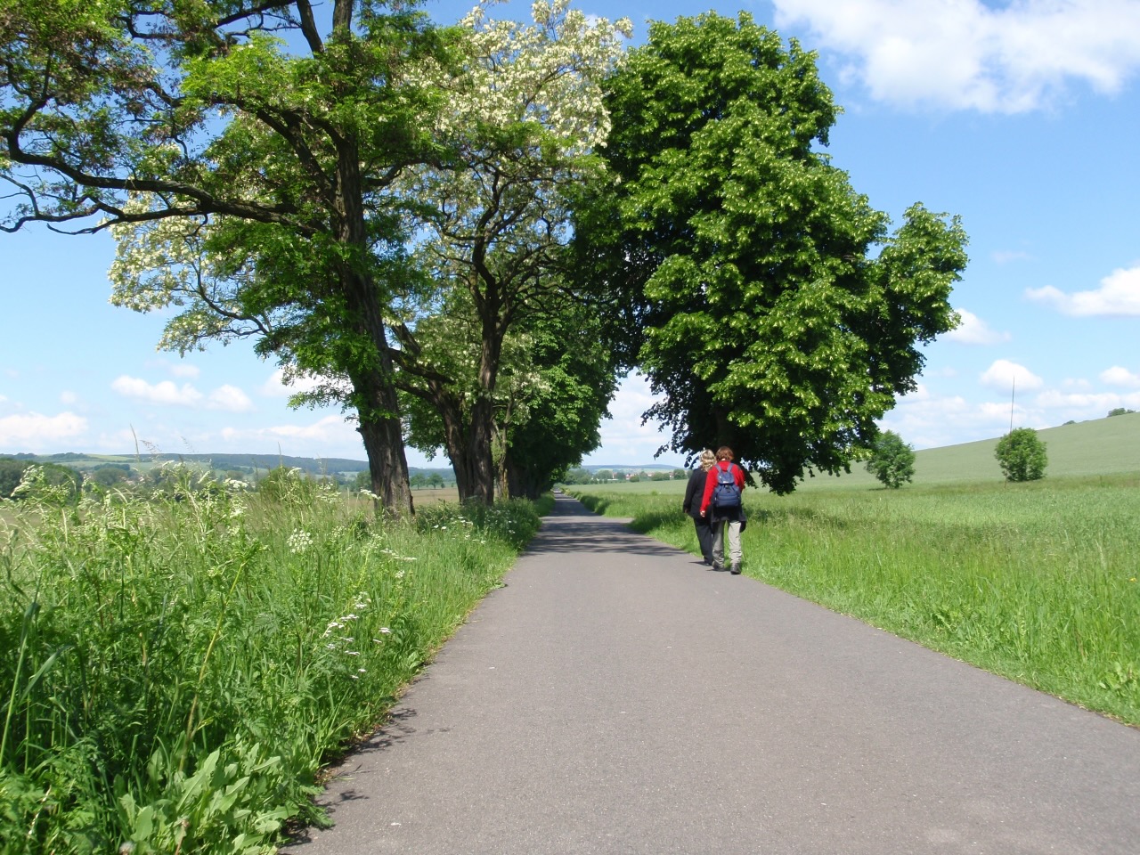 Auf dem Pummpülzweg