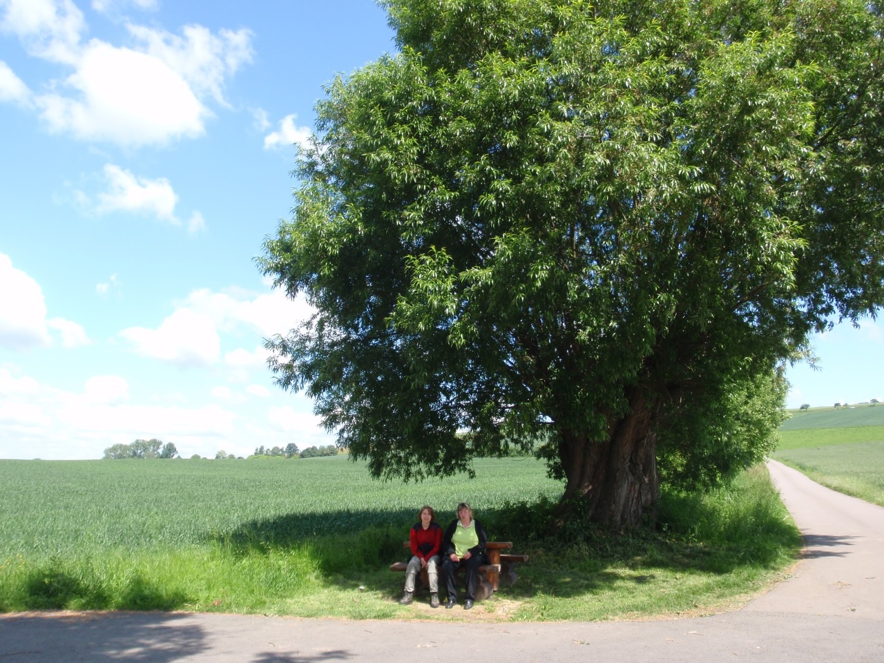 Die zwei aber schon.